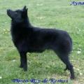 Ayna du Roz de Kerhas