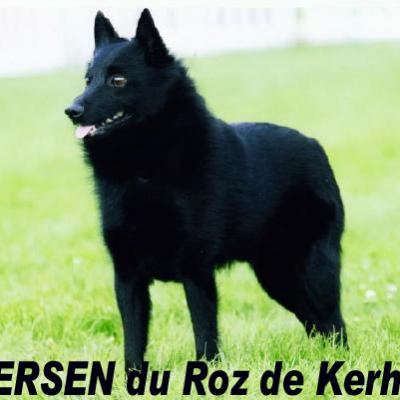Catégorie par défaut