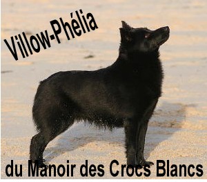 Villow 1b