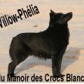 Villow 1b