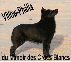 Villow 1b